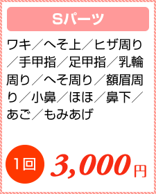 Sパーツ　１回3,000円